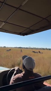 Unique treehouse tents, a private lagoon, starbeds and adventures in a remote wilderness…. All at Fig Tree Bush Camp… Book your Safari into Kafue National Park NOW! It’s time to explore. 🤎 #mukambisafaris #figtreebushcamp #kafuenationalpark #discoverzambia #uniquebynature #safari #wildlife #adventure #travel | Mukambi Safaris