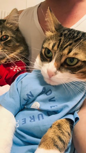 51K views · 3.7K reactions | Mitzu Şfabu on Reels | Facebook