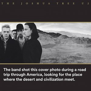 238K views · 1.1K reactions | Featuring the most famous tree in the...