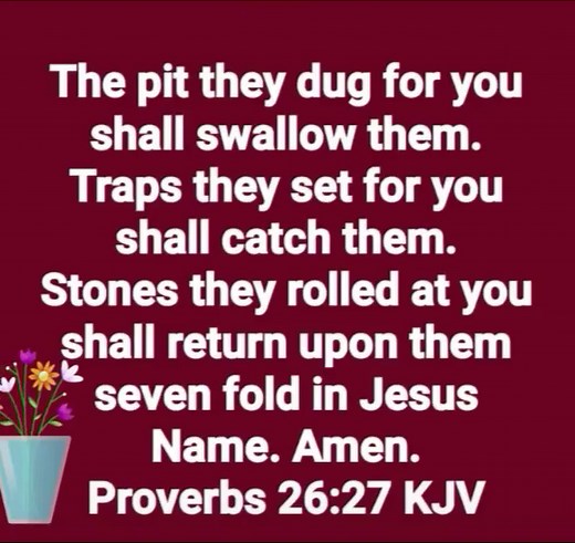 Proverbs 26:27 KJV Bible Verse Explained