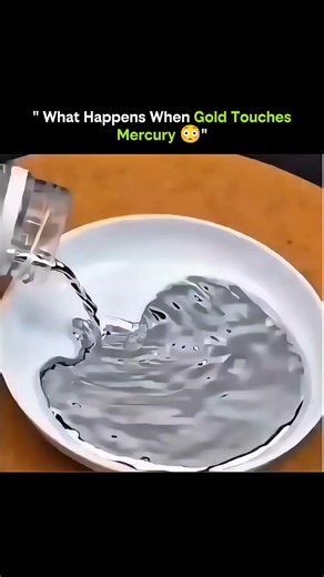 courteous007 on Instagram: "When Gold Touches Mercury — Solid Metal Turns Soft in Seconds 🧪✨ This video shows a strange but real chemical reaction that happens when gold comes into contact with mercury. Mercury atoms diffuse into the gold’s crystal structure, forming an amalgam that weakens the metallic bonds. As a result, solid gold loses its rigidity and becomes pale, soft, and almost clay-like. This isn’t melting or heat — it’s atomic interaction driven by chemistry. For centuries, this reac
