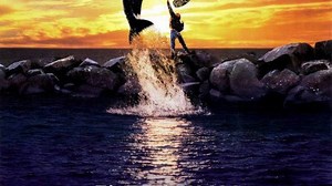 Free Willy Summary, Trailer, Cast, Where to Watch and More