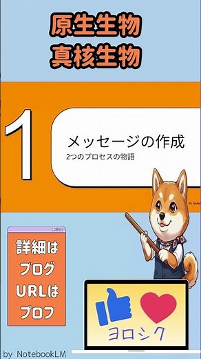 原生生物と真核生物のmRNA合成の違い #分子生物学 #分子細胞生物学 #遺伝子