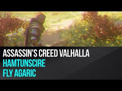 Assassins Creed Valhalla - Hamtunscire - Fly Agaric