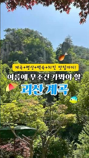 추천계곡🌟 계곡+평상에 백숙에 취사까지가능 #괴산 #계곡추천
