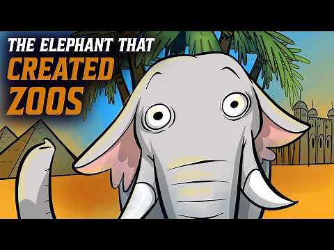 The Unlikely History of Zoos | European History