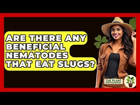 Are There Any Beneficial Nematodes That Eat Slugs? - The Plant Enthusiast