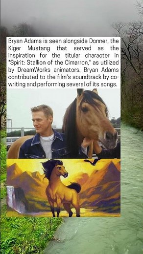 Donner, the Kiger Mustang horse that served as the inspiration for Spirit Stallion of the Cimarron