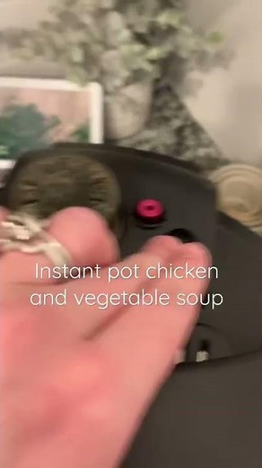 QUICK & EASY Chicken & Vegetable Soup | Instant Pot