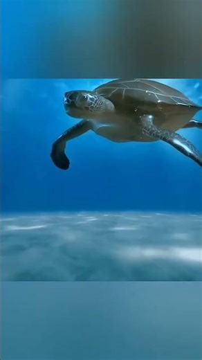 💥💫🕉️Jai bhole nath 🔱🕉️🙏#youtubeshorts #viralshorts