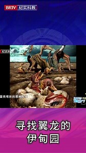 灵翼龙卵有什么用处