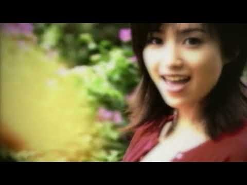 酒井法子／涙色