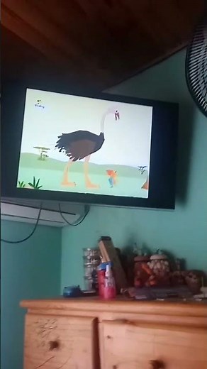 Tucky tales