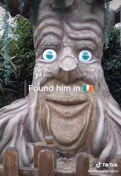 #meme #wisemysticaltree #wisetree #fyp