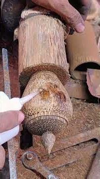 Amazing wood lathe transformations #woodturning #diy