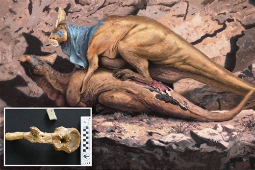 Dino-mate! Dinosaur’s painful hookups were literally bone-crushing, study shows