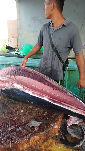 Watching young Rahman's sharp machete split the tuna smoothly #fish #fypシ゚viral #food #talon