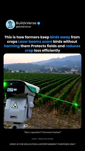 Laser Tech Scaring Birds Away 🤯