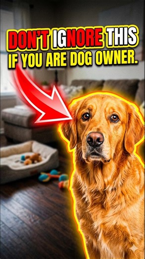 Dog Owners: Watch This Before It's Too Late ⚠️🐕 #dogfacts