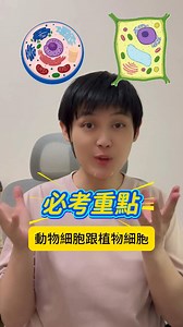 💯考試必考重點來啦！😍 動物細胞 vs 植物細胞， 你分得出來嗎？ 植物細胞最大的特色—— ✅ 有「細胞壁」， 外層硬邦邦、支撐整個細胞。 動物細胞呢？ ❌ 沒有細胞壁， 不然你就「動」不了啦～ 那植物細胞是不是一定都有葉綠體？ 也不一定喔！ 講一個常考的比較觀念： 植物的「保衛細胞」是半月形， 負責控制氣孔的開和關， 而且它有葉綠體。 那植物「表皮細胞」呢？ 主要是保護、隔絕外來物。 為了不擋光，它是透明的！ 這些都是七年級生物 第一次段考會考的重點， 我已經幫你整理成一份超清楚的題本＋影片， 📎 連結在下方， 祝各位段考順利， 把自然科拿下高分！💪🌱 #段考 #自然科 #七年級 #張妤自然 #生物 | 張妤自然
