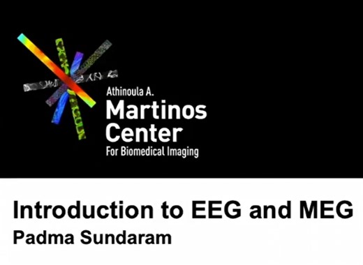 Introduction to EEG and MEG