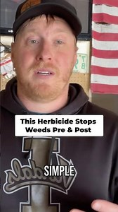 Best Weed Killer: Pre-Emergent & Post-Emergent Solution! #shorts