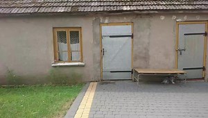 Szwagry | Gdzie jest Antek?? | Instagram