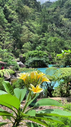 Lenk Dopang River Park: Wisata Alam Segar di Kudus