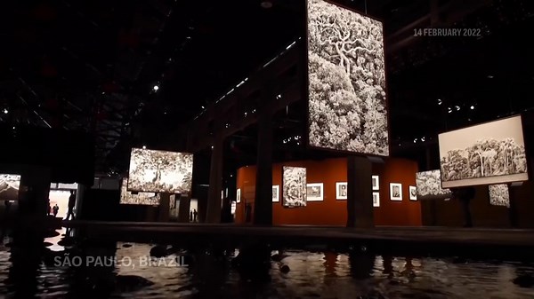 Award-winning Brazilian photographer Sebastiao Salgado dies at age 81, his institute says