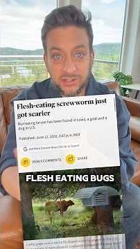 This Threat is Real. Here’s How to Keep Your Pets Safe