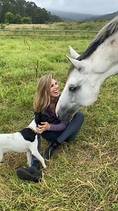 i def have an animal addiction 🙈 #equestrian #equestrainlife | Sophia Bennett