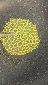 Transform your dishes with these stunning lacy green crisps! Chef turns fresh herb oil into these delicate garnishes that has an incredible texture and vibrant color. The secret is in the technique that creates those beautiful coral-like patterns. Perfect for elevating soups, salads, and appetizers! | Chef's Recipes