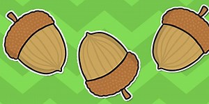Acorn Display Cut-Out