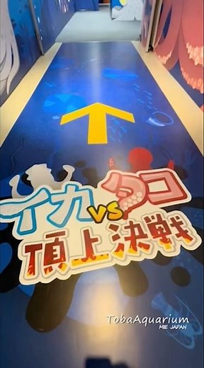 《鳥羽水族館》春の企画展「イカvsタコ頂上決戦」開催中🦑🐙 #鳥羽水族館 #tobaaquarium #イカvsタコ頂上決戦 #イカ #タコ