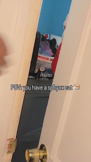 12 reactions | Say hi to Princess ✨爛 | Inesha Smith | Facebook