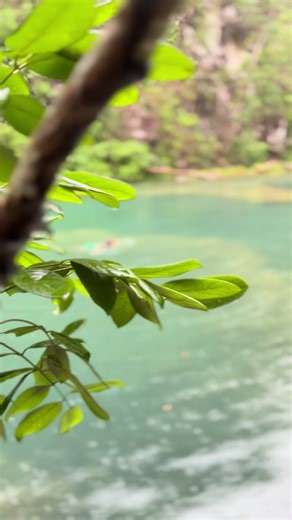 Descubre Semuc Champey: Un Paraíso en Guatemala