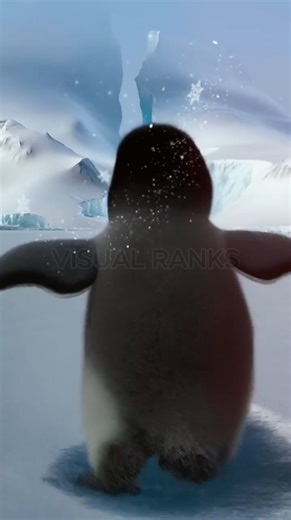 The Penguin That Followed a Lost Melody!