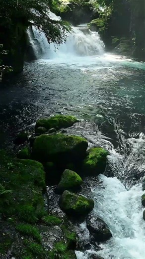 Soft Piano Melody for Peaceful Moments | Relaxing Short Music 🎹✨