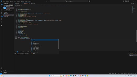 pytorch代码编写运行