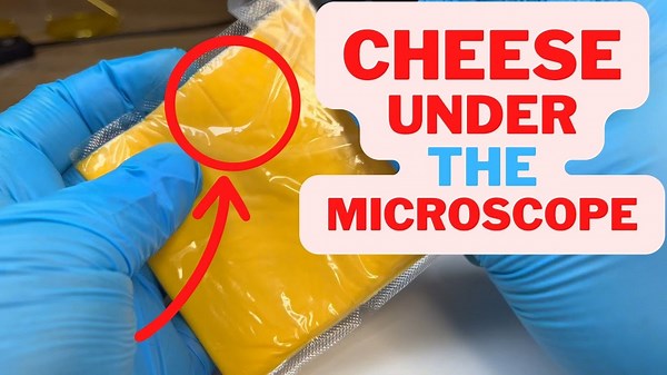 You Won’t Believe What’s Inside This Plastic Cheese!