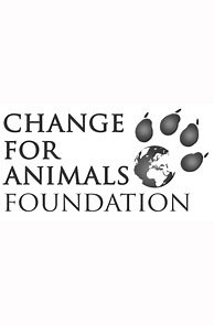 Whales and dolphins in captivity