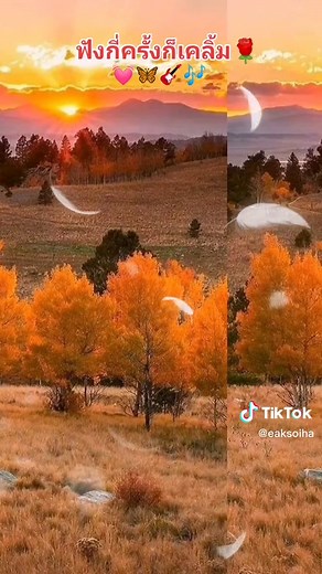 Serene Autumn Landscape with Vibrant Foliage