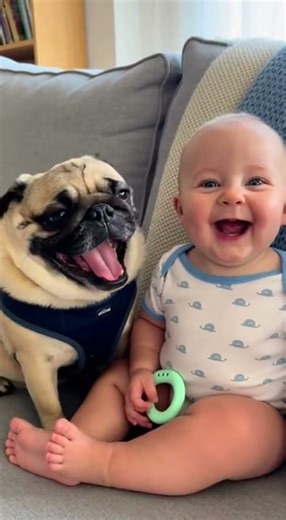 Cute Baby and Dogs funny Moments