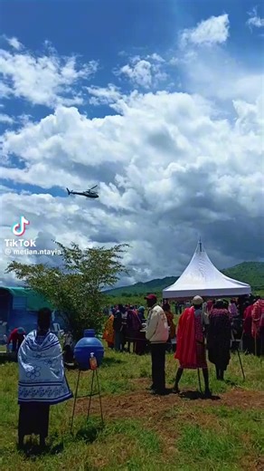 userjosh#033 on TikTok