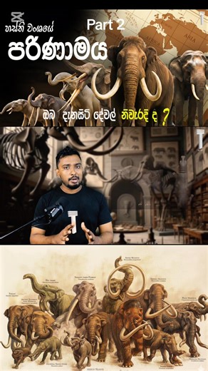 Evolution of elephant 🦣 වර්තමාන අලි ඇතුන්ගේ පරිණාමය සිදු වුණේ කොහොමද Part 2 #elephant #evolution #highlight #foryou #trend