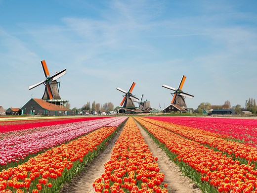 Belgique, Pays-Bas et Luxembourg | Circuit culturel par Voyages Lambert