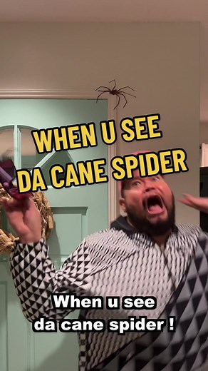 Cuando ves la araña de caña en Hawái