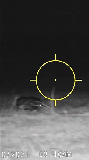 Sightmark Wraith 4K Mini Hog Drop