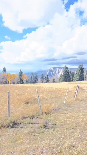 Roadtrip recap 😎🐁 | Haley Bennett