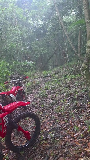 CRF300F trail: subir a otro nivel de dificultad